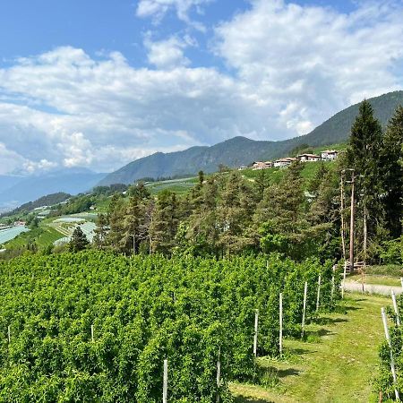 ブレツ Agritur Maso Forcolaヴィラ エクステリア 写真
