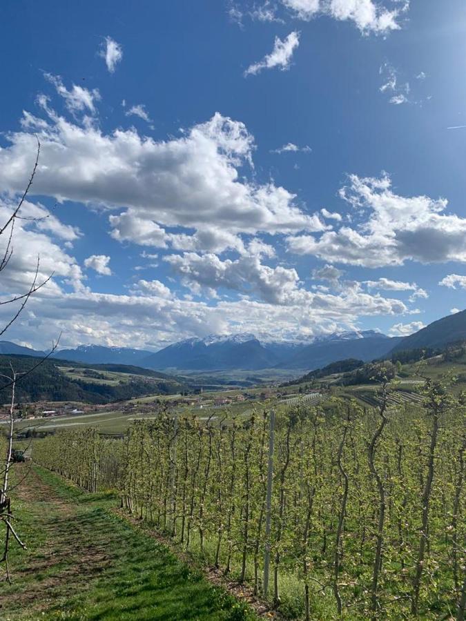 ブレツ Agritur Maso Forcolaヴィラ エクステリア 写真