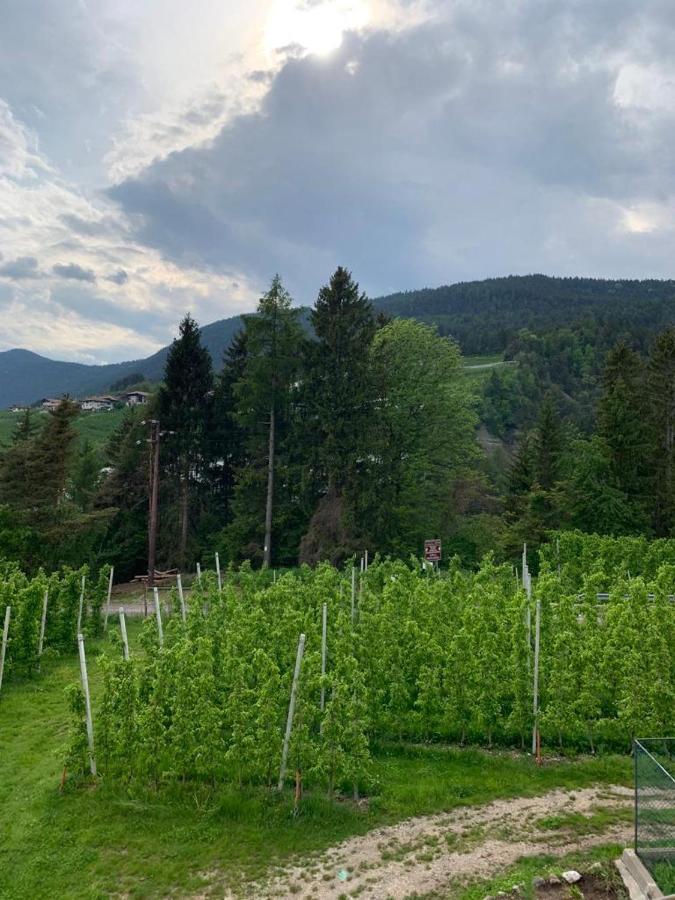 ブレツ Agritur Maso Forcolaヴィラ エクステリア 写真