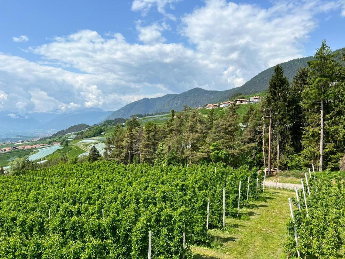 ブレツ Agritur Maso Forcolaヴィラ エクステリア 写真