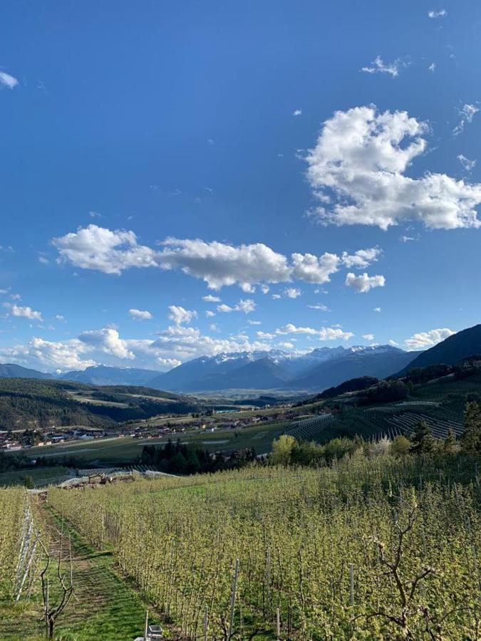 ブレツ Agritur Maso Forcolaヴィラ エクステリア 写真