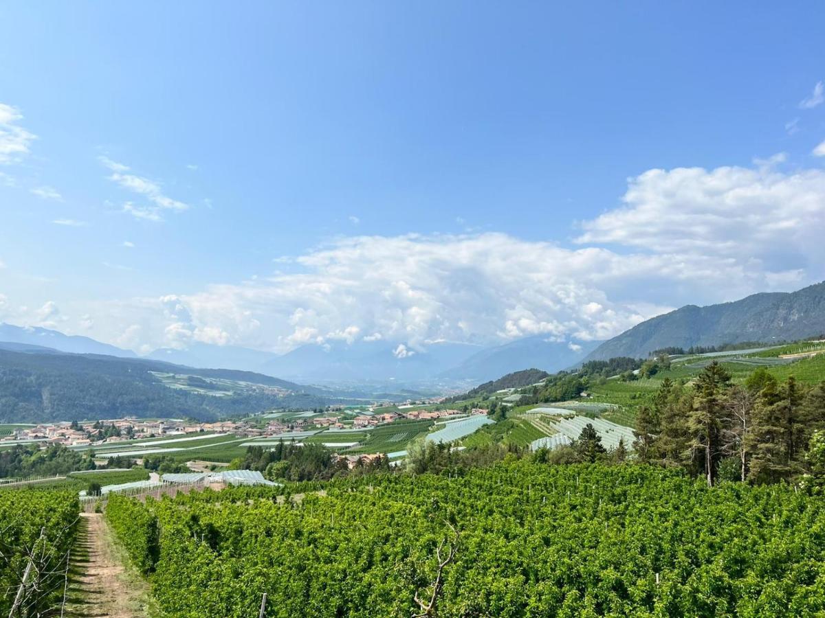 ブレツ Agritur Maso Forcolaヴィラ エクステリア 写真