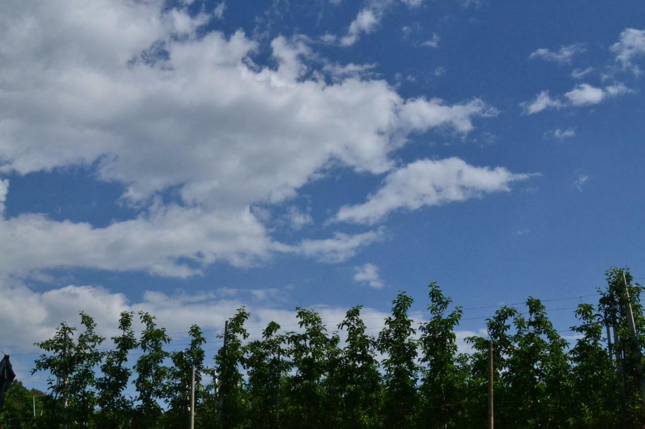 ブレツ Agritur Maso Forcolaヴィラ エクステリア 写真