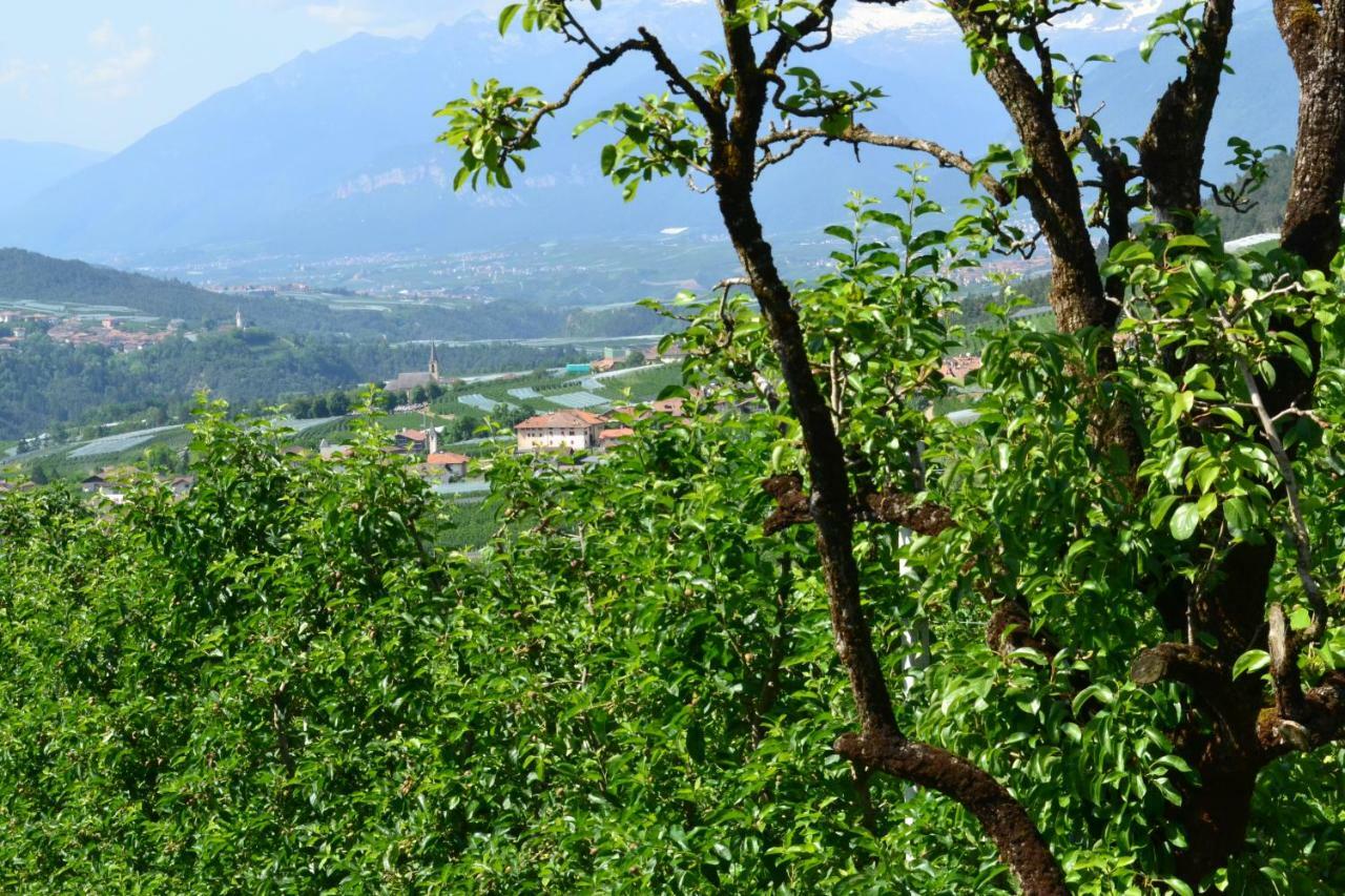 ブレツ Agritur Maso Forcolaヴィラ エクステリア 写真
